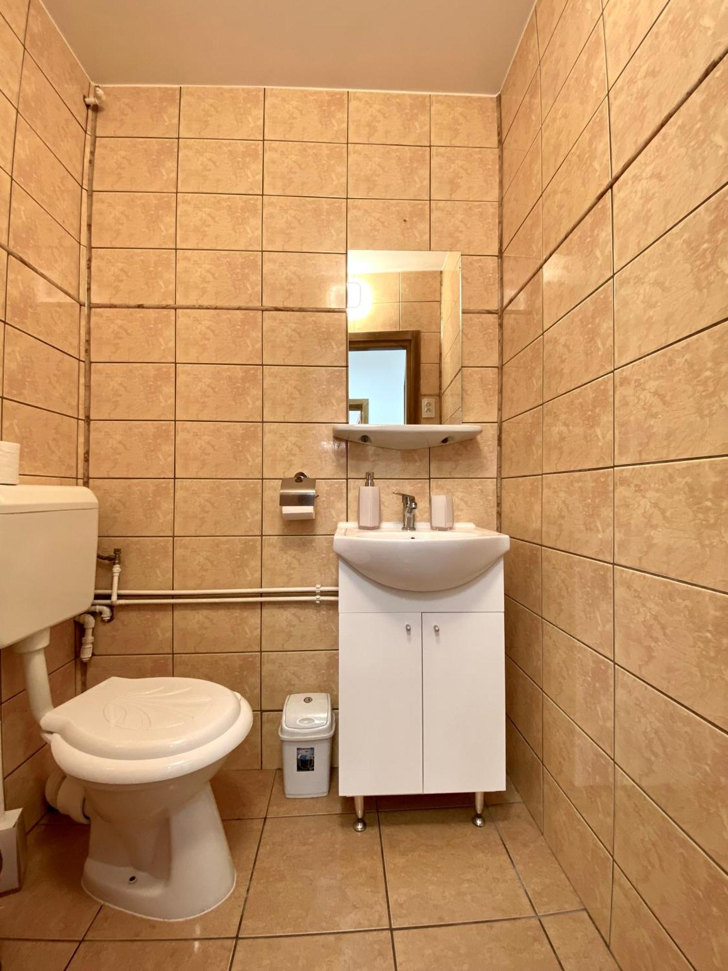 Kronstadt Apartment - Pet Friendly Brasov Luaran gambar